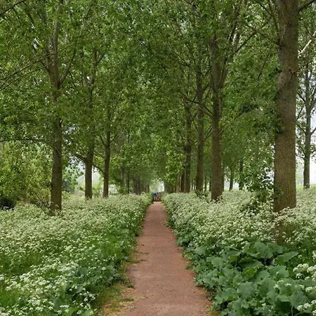 Cozy Escape Beach&nature Near Den Bosch - 4 Ps Met Veel Privacy En Rust! Chalet