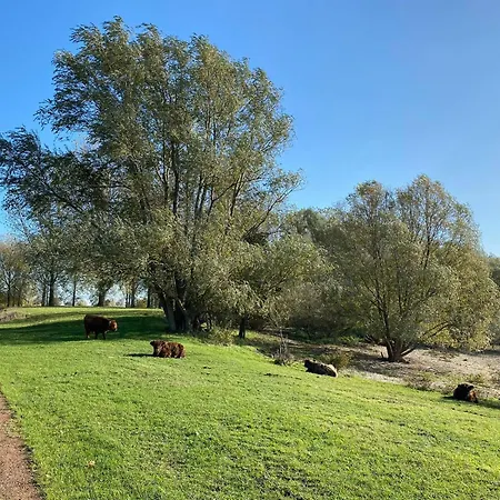 Cozy Escape Beach&nature Near Den Bosch - 4 Ps Met Veel Privacy En Rust! *