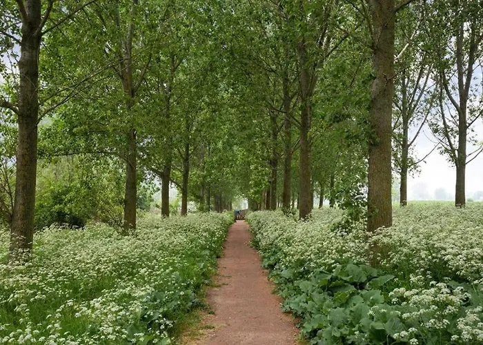 Cozy Escape Near Den Bosch - 4 Ps Met Veel Privacy En Rust! Σαλέ