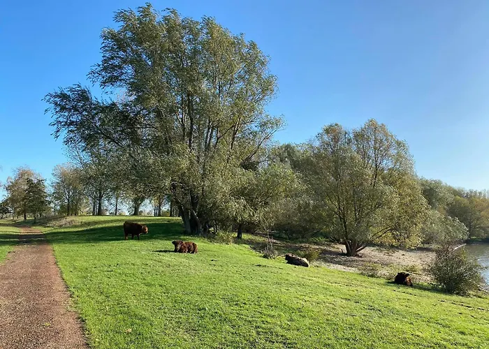 Cozy Escape Near Den Bosch - 4 Ps Met Veel Privacy En Rust! *